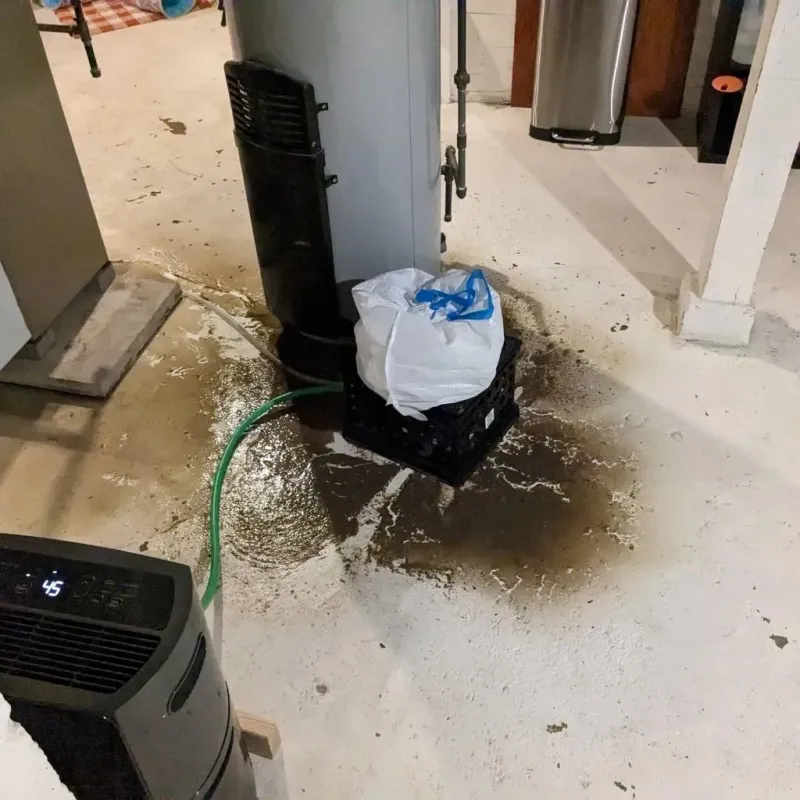 Sewage Backup Cleanup Service in Peapack, NJ